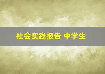 社会实践报告 中学生